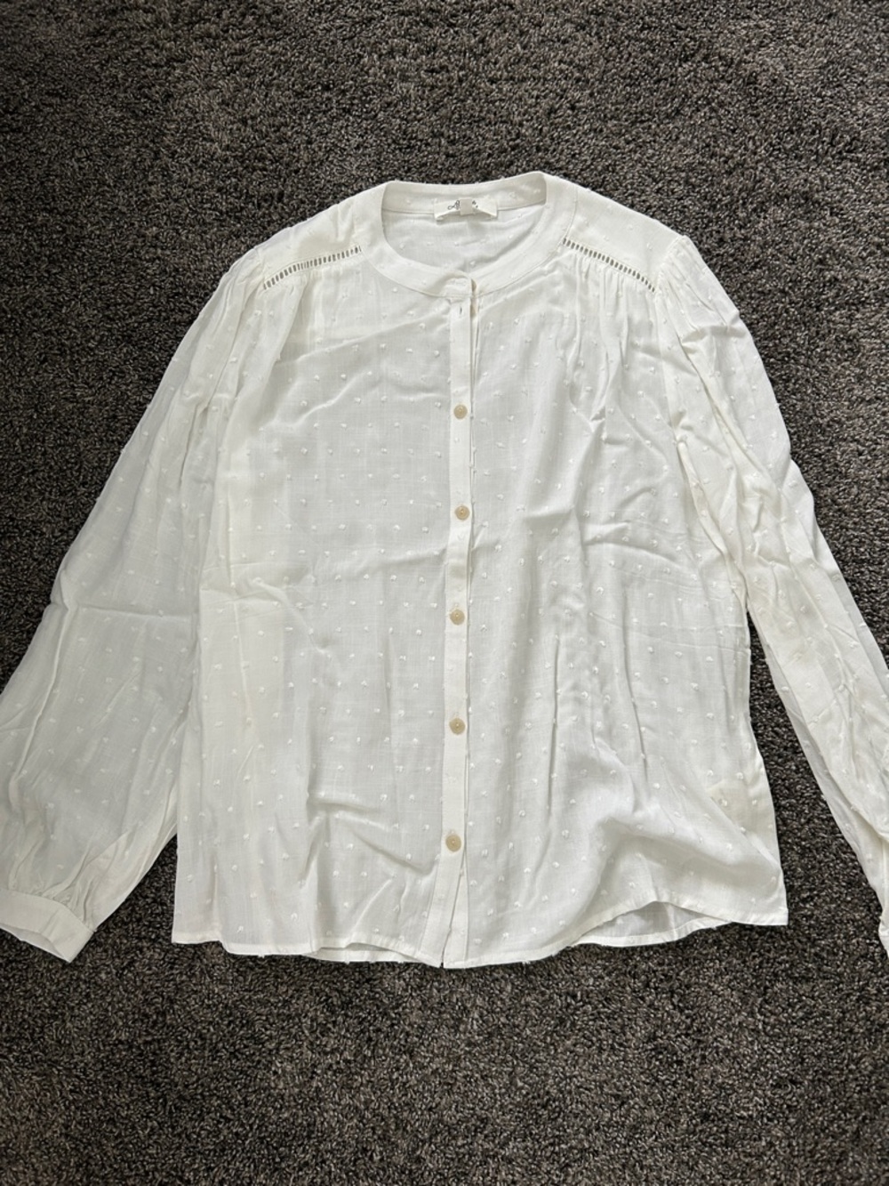 Beacon White Swiss Dot Button-Up Blouse